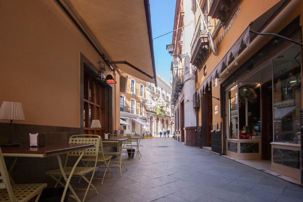 Botanic Duplex Terrace 5 Pax Sevilla